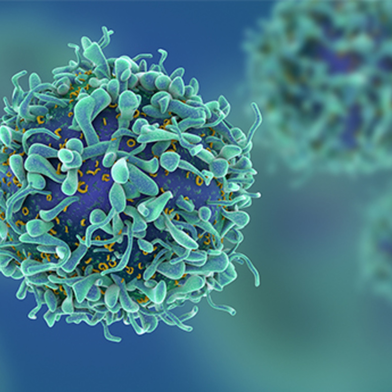 الاكتشاف الجديد يمهد للمزيد من الاكتشافات العلمية الجديدة