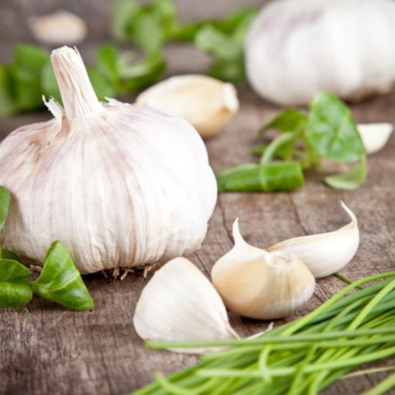 فوائد الثوم لامراض القلب