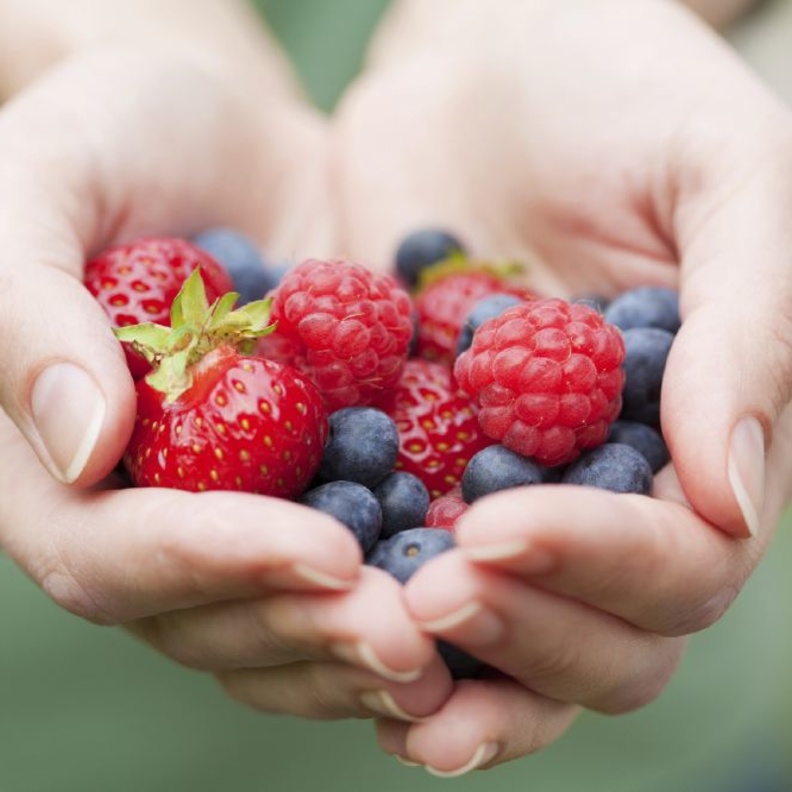 فوائد التوت عديدة في حرق دهون الجسم