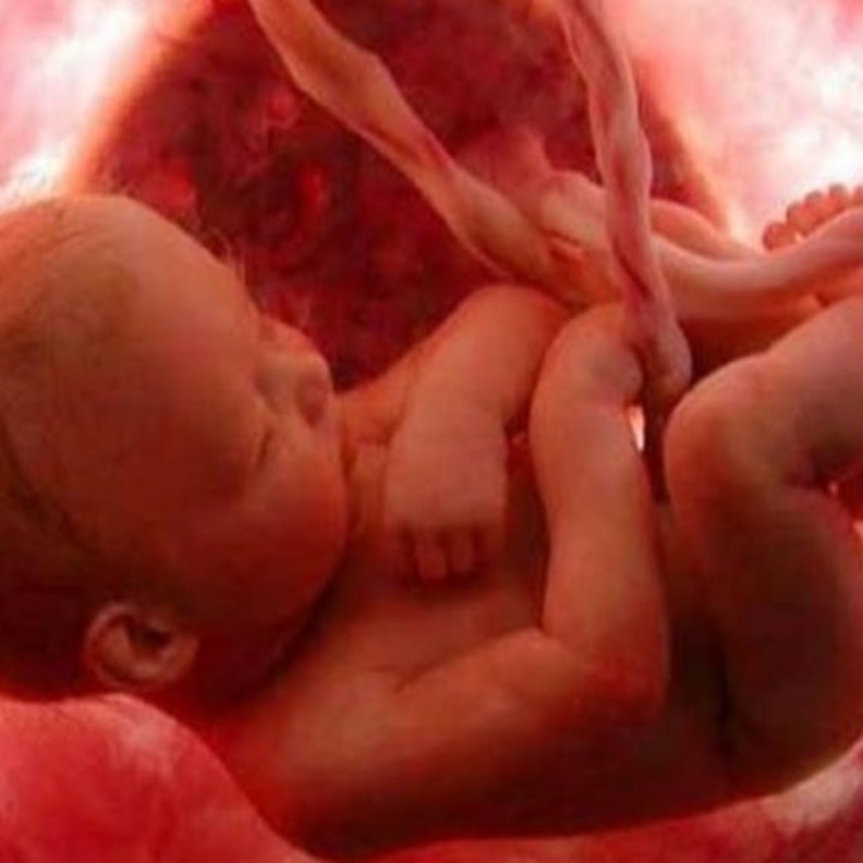 10اسباب لضعف حركة الجنين