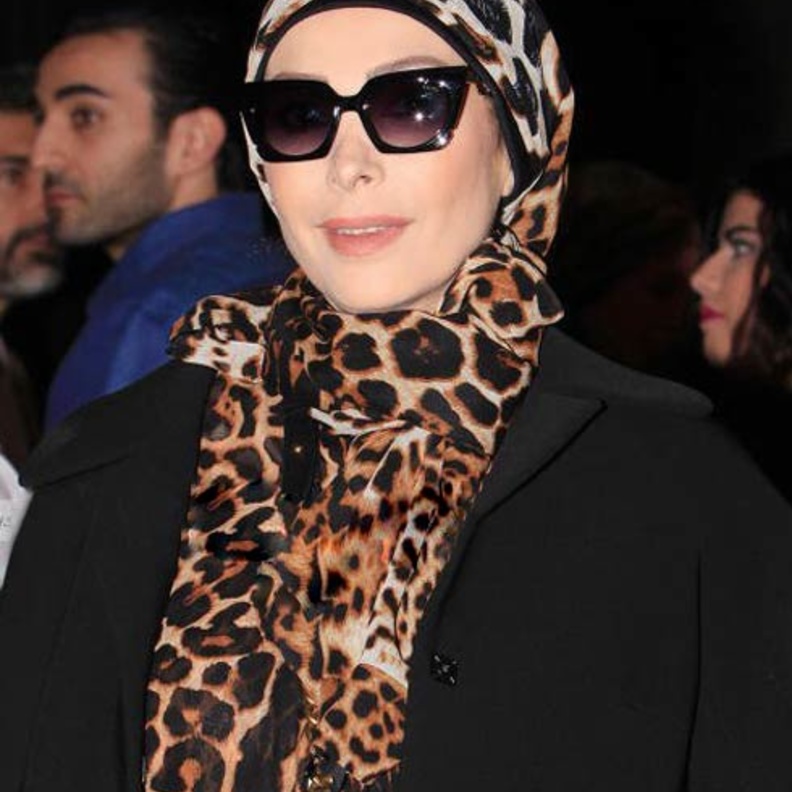 أمل حجازي 2017