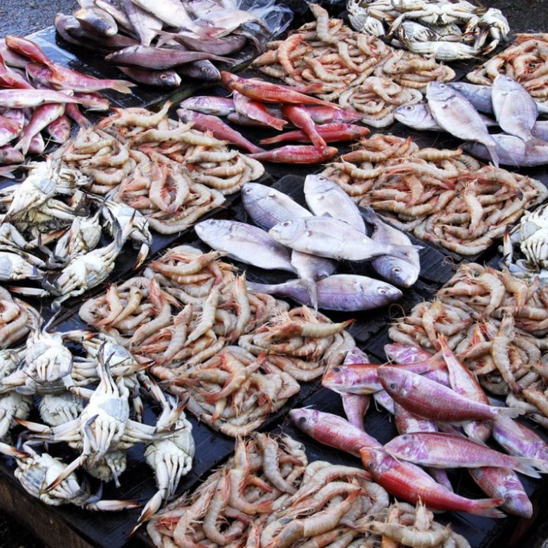 السعودية أعلنت حظر استيراد روبيان "تكساس" وأسماك إيطاليا