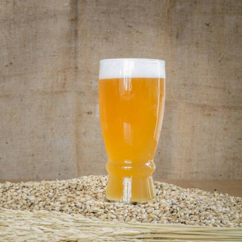 مشروب الشعير ينقي الدم من السموم