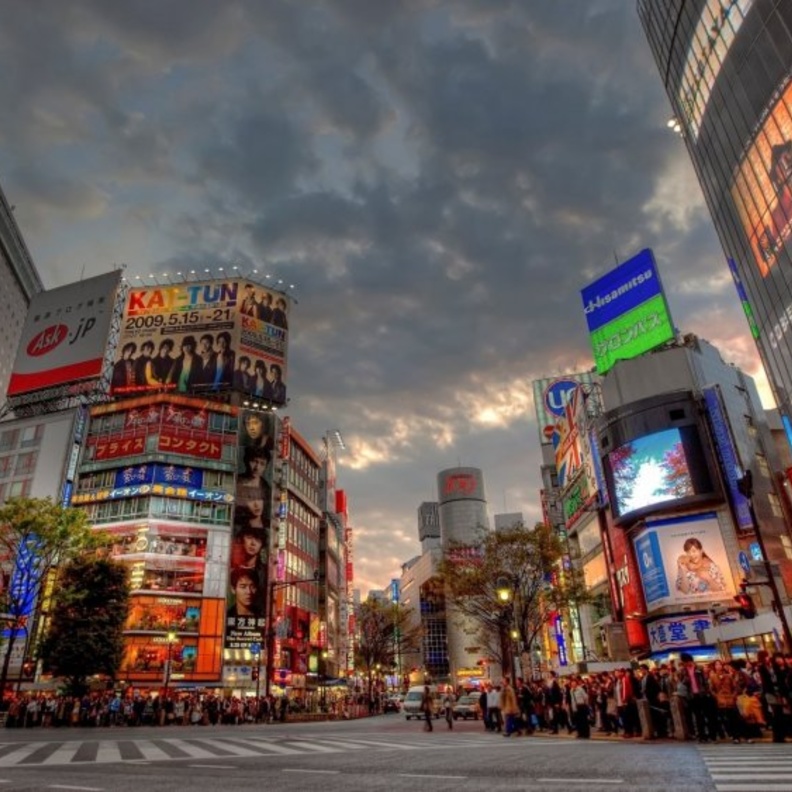 الحياة قرب الأشجاز تعزز صحة الدماغ