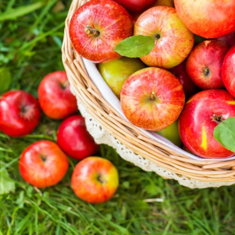 فوائد التفاح على الريق