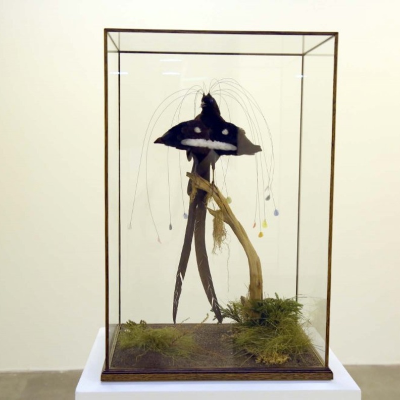 عمل فني بين الحقيقة و الخيال.