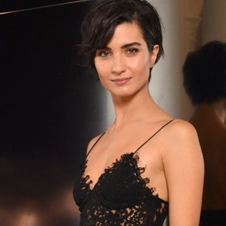 توبا بويوكستون 