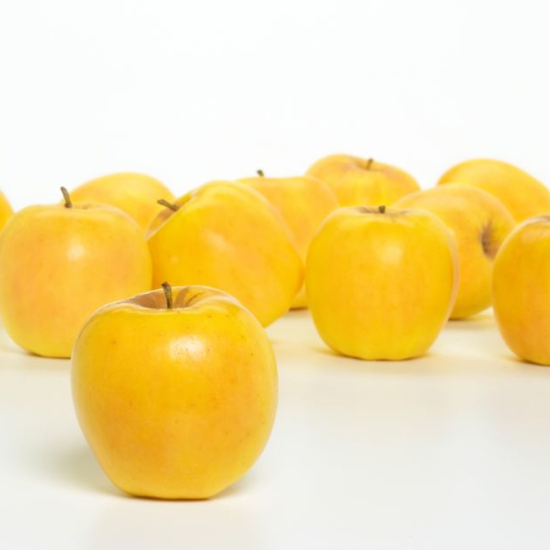 التفاح الأصفر يرفع مناعة الجسم.