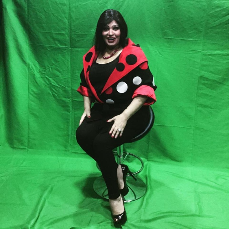 فيفي عبده في احد البرامج