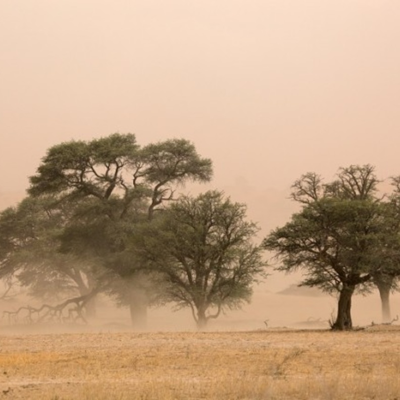 صحة الشرقية حذرت المواطنين من موجة الغبار