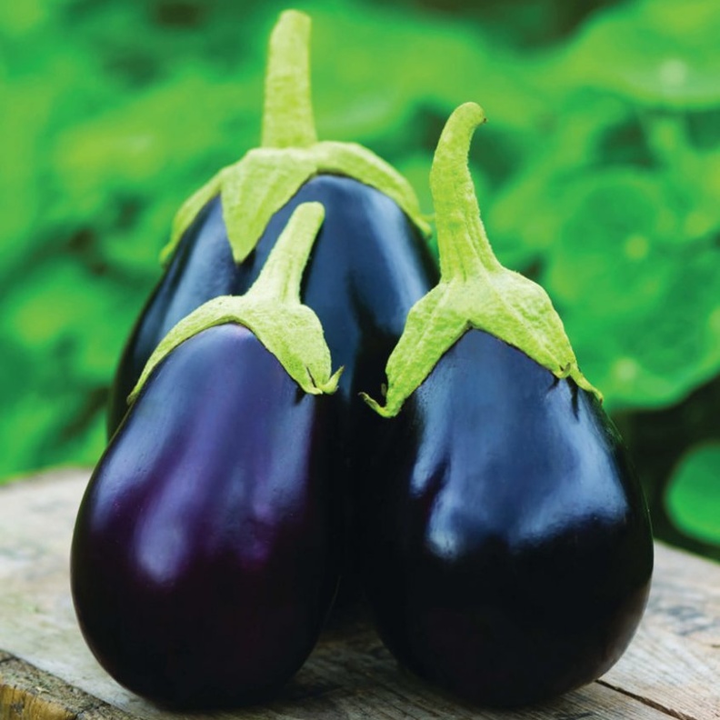 تناول الباذنجان مشوي أو مسلوق يفيد في إنقاص الوزن