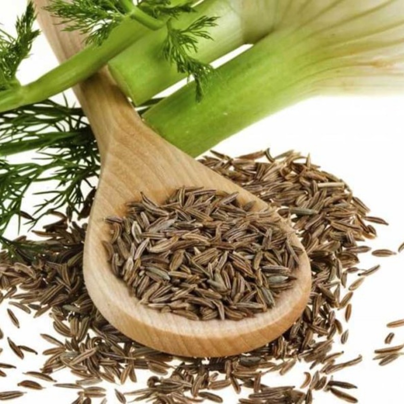 يسهل الشمر عملية الإخراج ويطهر البطن ويعالج متلازمة القولون المصاحبة للإمساك