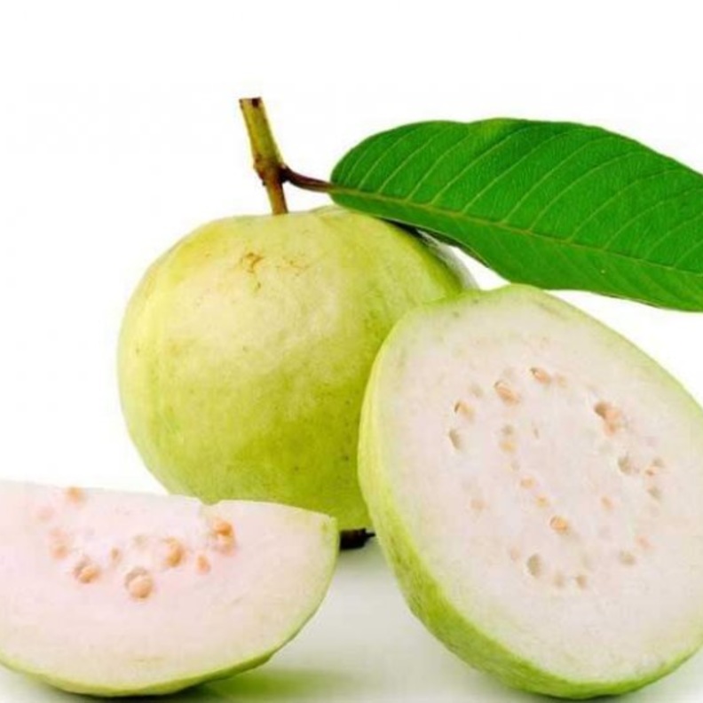 من فوائد الجوافة للحامل انها تحتوي على خمض الفوليك الهام جدا لوقاية الجنين من العيوب والتشوهات الخلقية