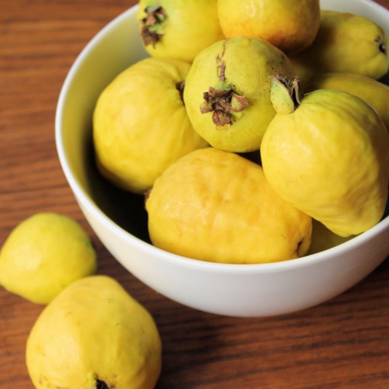 فوائد الجوافة واضرارها