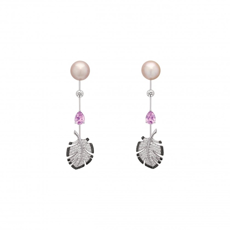 أقراط من دوفان Dauphin