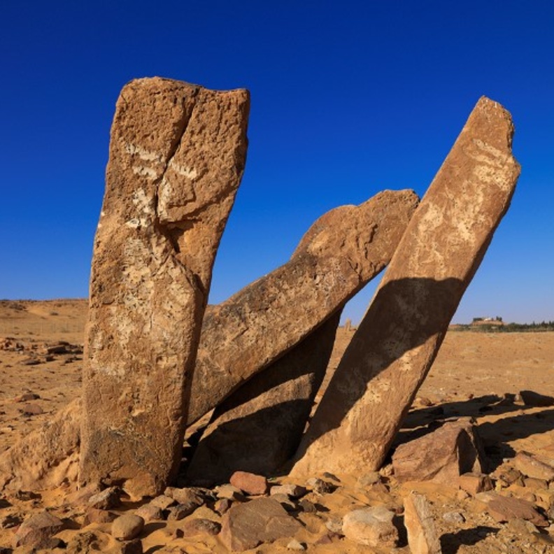 قصر العيشان