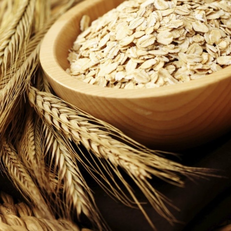 يعالج الشوفان آلام المفاصل والروماتيزم ويقاوم هشاشة العظام
