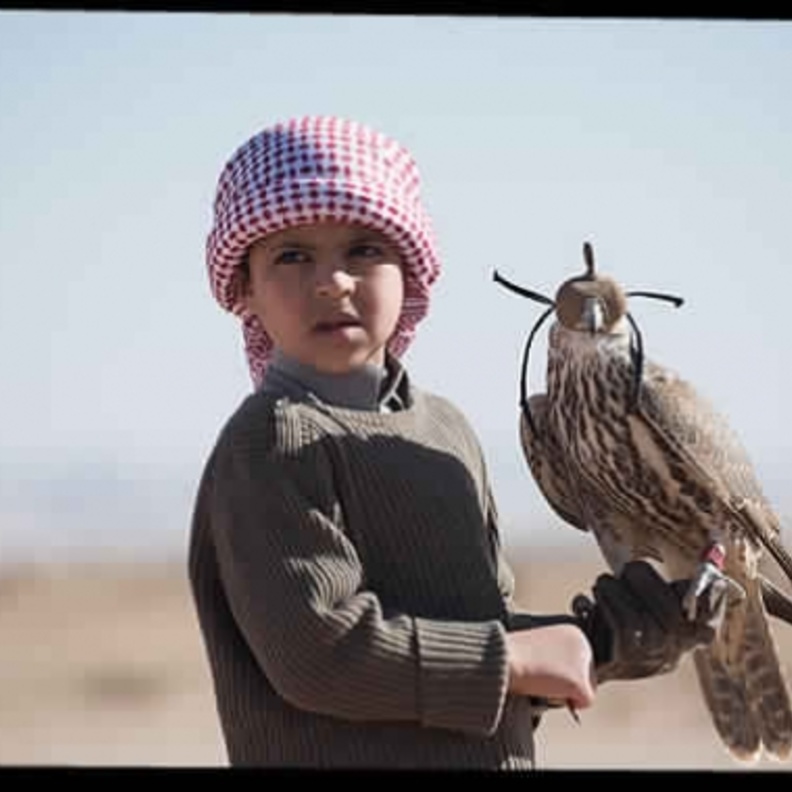 يعد فيلم جود سابقة سينمائية للمملكة من نواحي عديدة