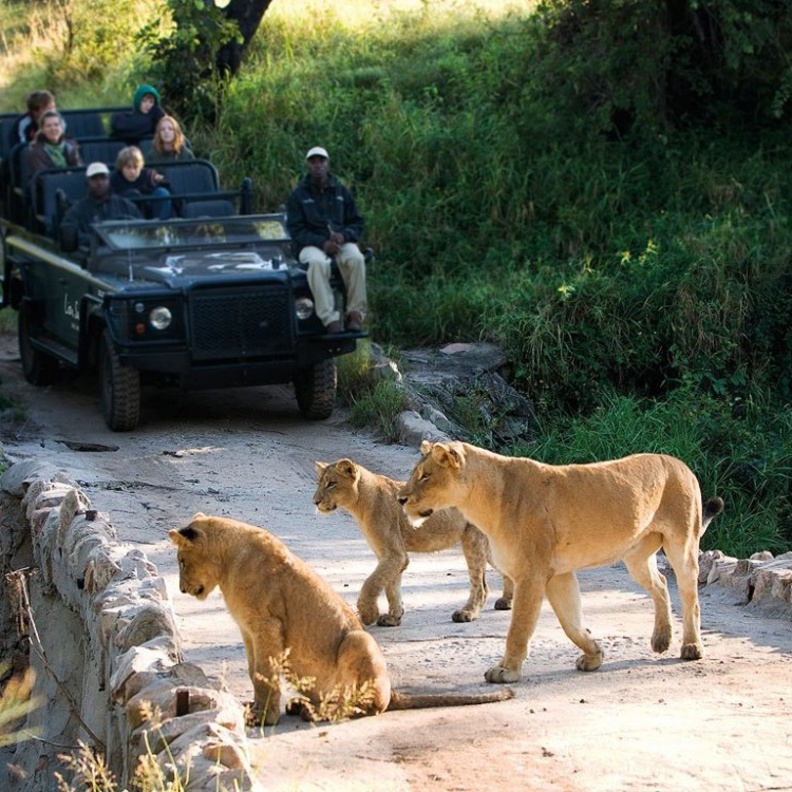 شواطئ جنوب افريقيا غاية في الروعة