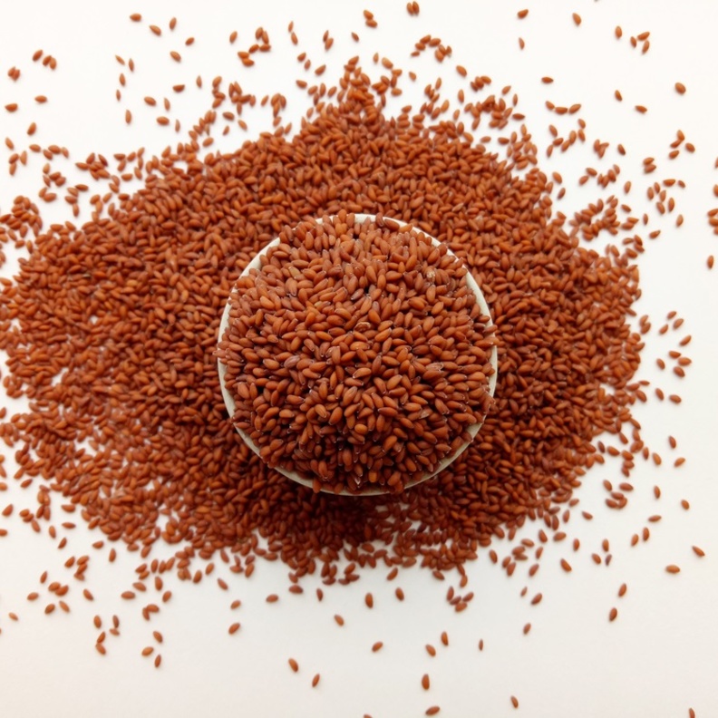 فوائد حب الرشاد للدوره الشهرية