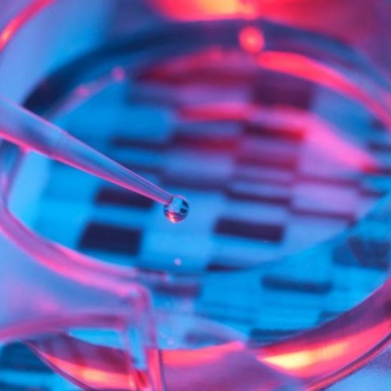 فحص الحمض النووي شرط للهوية و هذه اجراءات حذف اسم القبيلة 