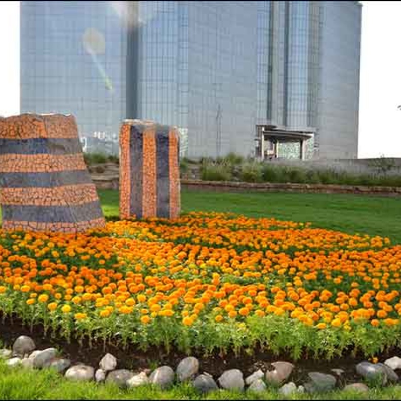 جانب من تزيين الرياض 