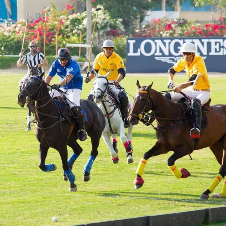 انطلاق فعاليات كأس الْيَوْمَ الوطني للبولو ٢ ديسمبر المقبل