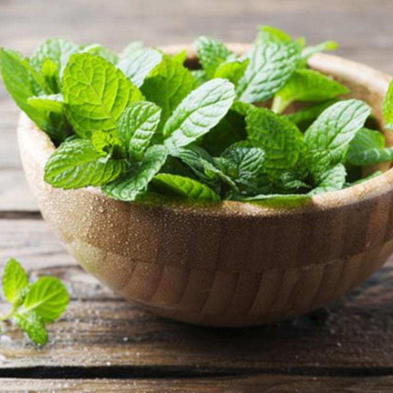 النعناع يقلل من اضطرابات الدورة الشهرية