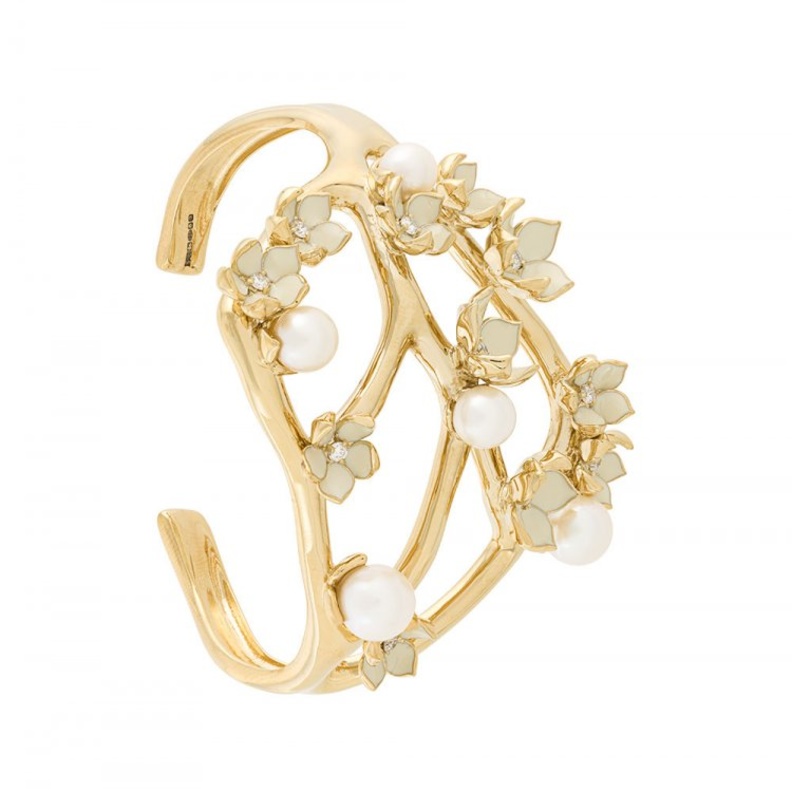 خاتم من ستيفير.