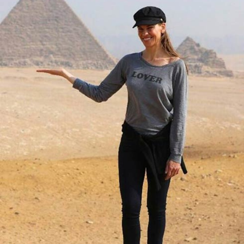 هيلاري سوانك