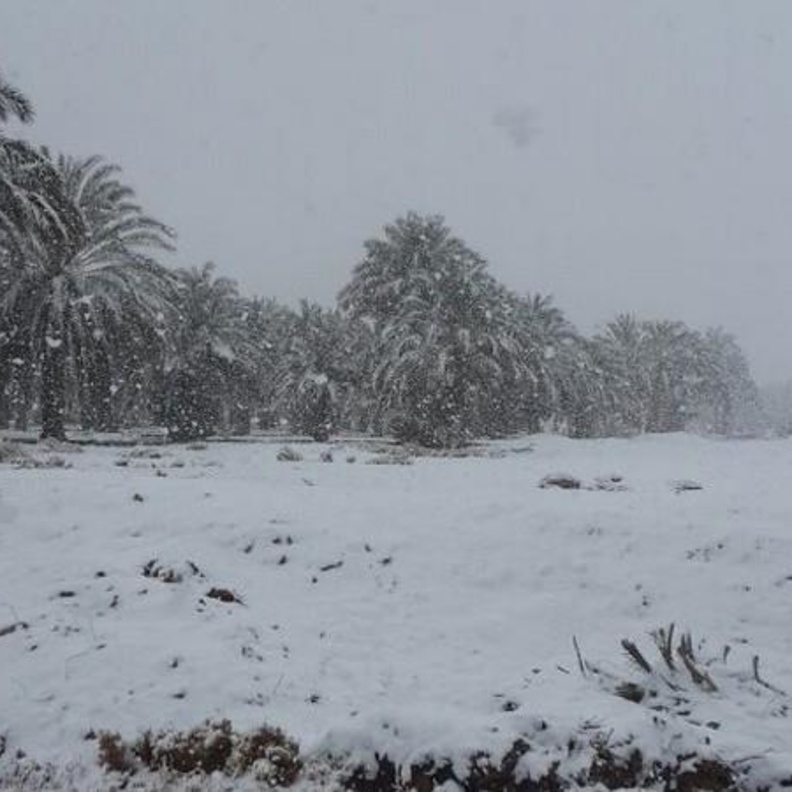 جانب من الثلوج التي سقطت على الحدود الشمالية العام الماضي