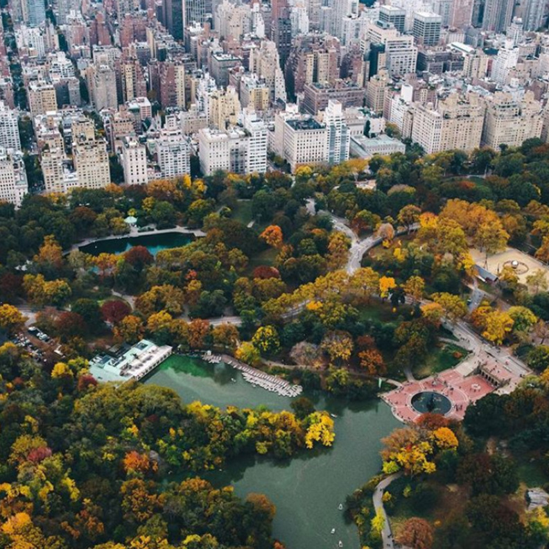 نيويورك، نيويورك 