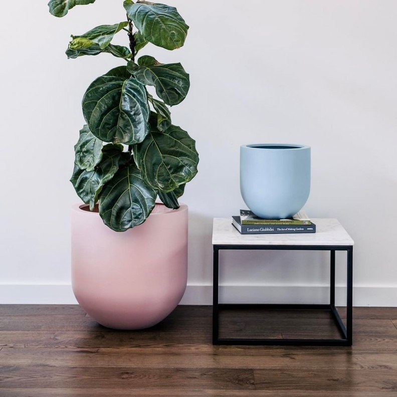 أحواض نباتات ملونة لتزيين سطح المدفأة.