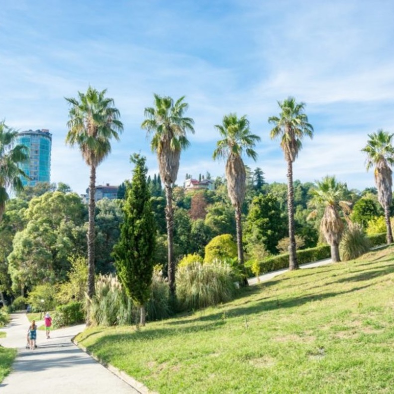 فندق Hyatt Regency Sochi 
