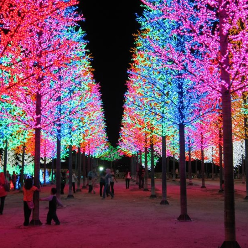 من حديقة حيوانات Negara