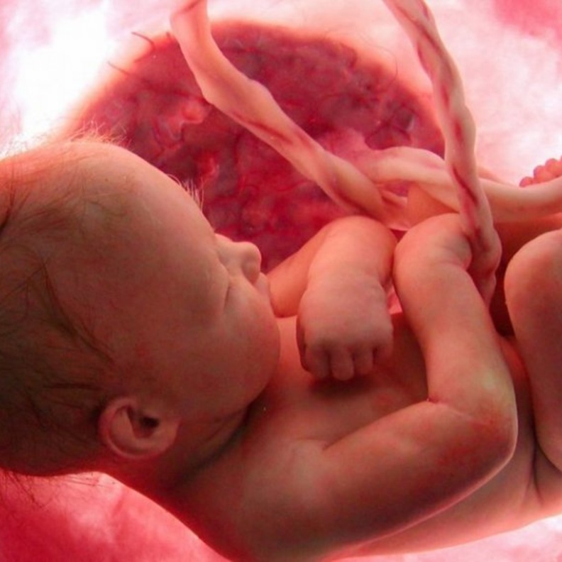 اسباب وفاة الجنين في الشهر التاسع 