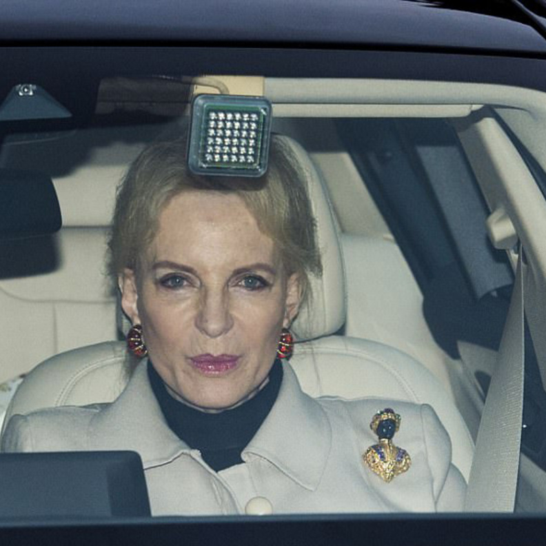 ميغان ماركل والأمير هاري