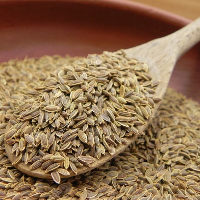 بذور الشبت تعزز مناعة الجسم