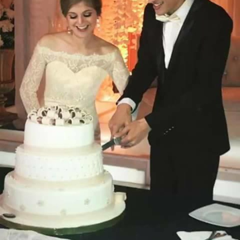 أحمد الحجار وعروسه