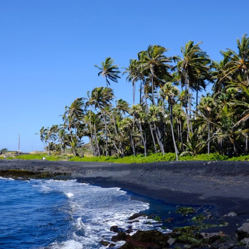 شاطئ Pfeiffer Beach يوجد بالقرب من غابة بيغ شور