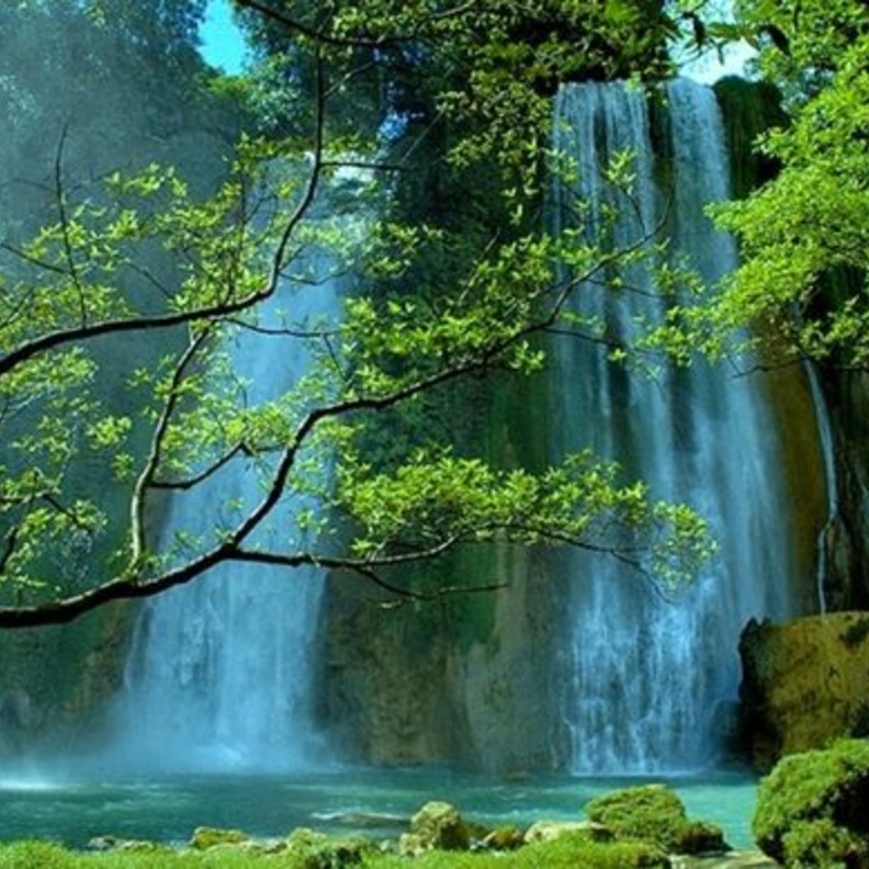 كوتا بونقا من المجمعات المشهورة التي قد تبهر زوارها بحدائقها