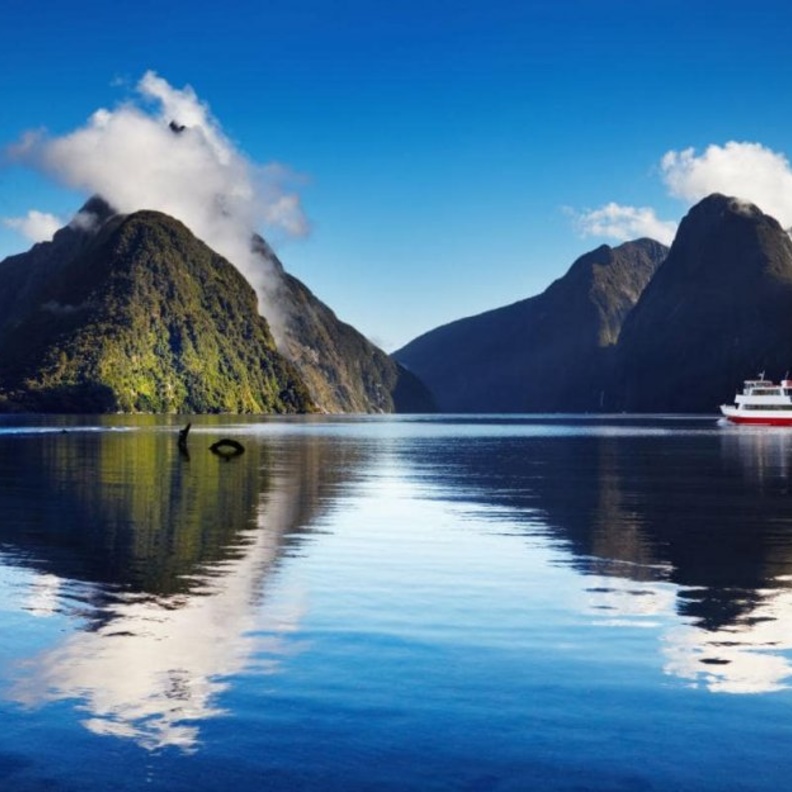 السياحية في نيوزيلندا