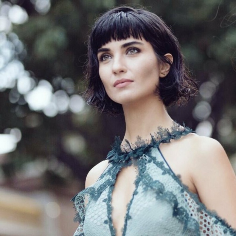 توبا بويوكستون