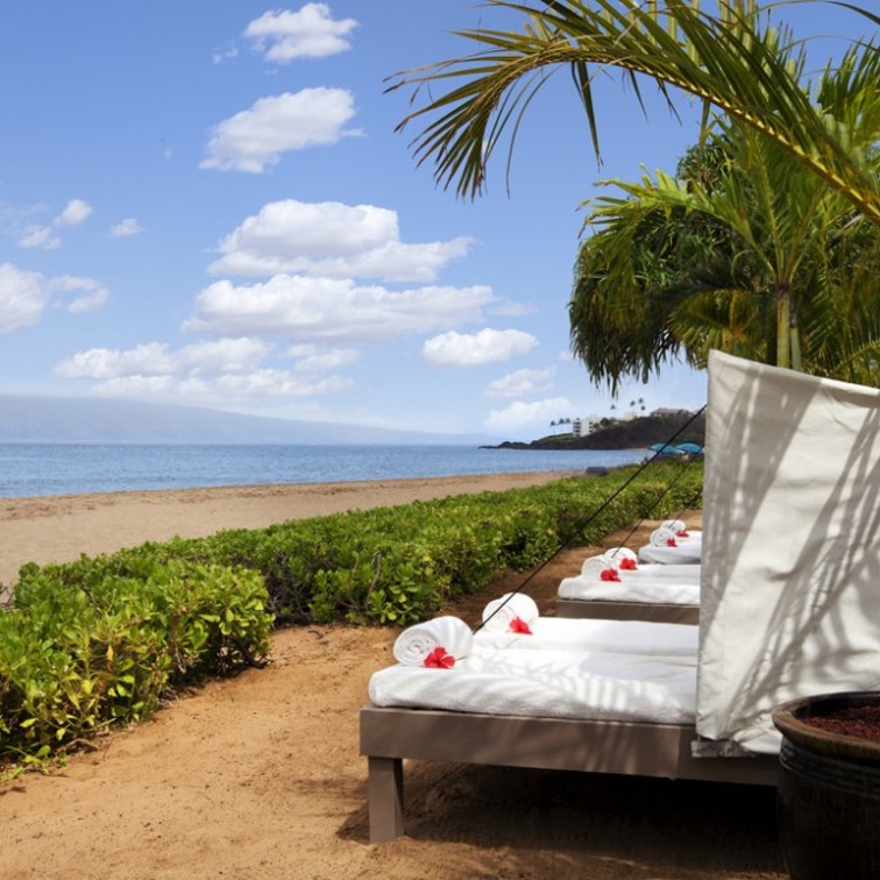 منتجع و سبا Shangri-La Mactan – اصناف المأكولات Shangri-La Mactan Resort & Spa - Food 