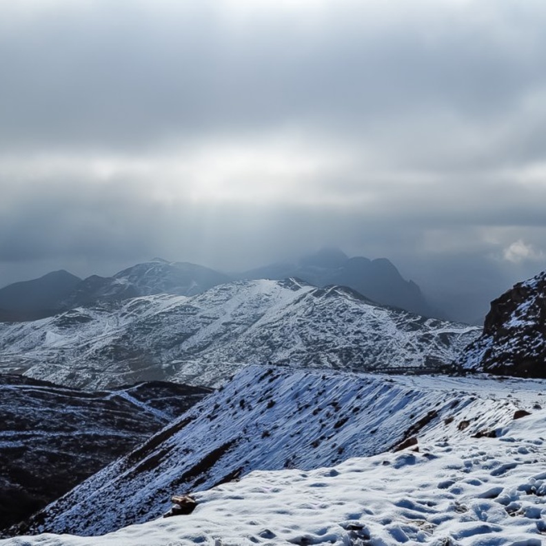 جبل اللوز ملتقى العائلات 