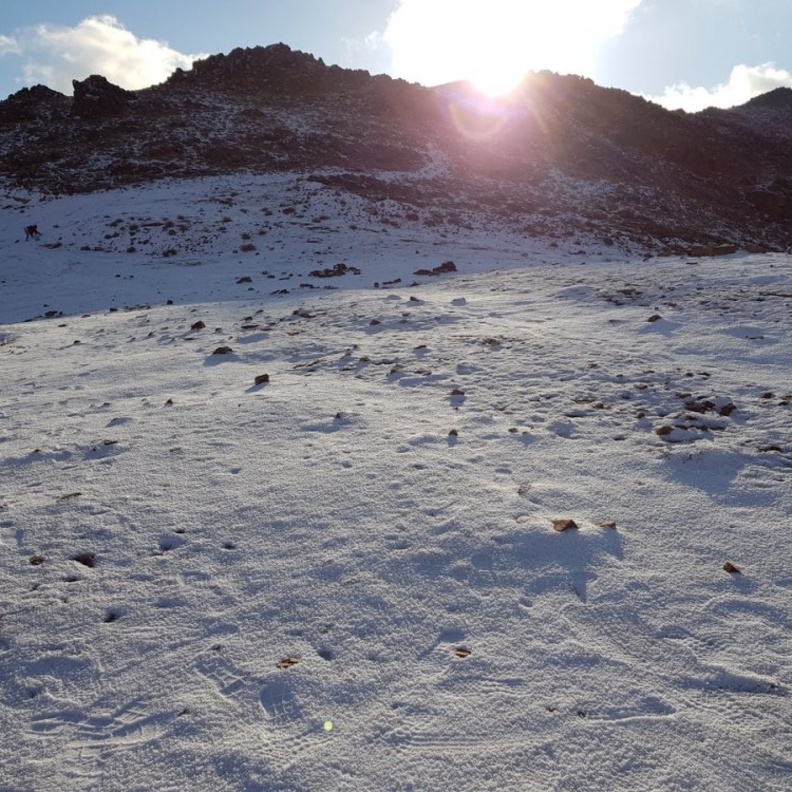 جانب من الثلوج التي سقطت على جبل اللوز 