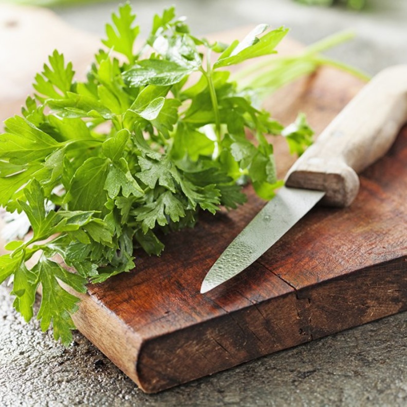  البقدونس يعزز وظيفة الكلى