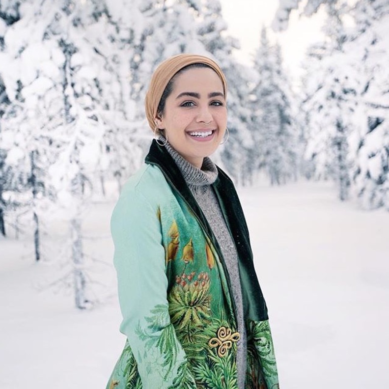 اسيا في فنلندا.