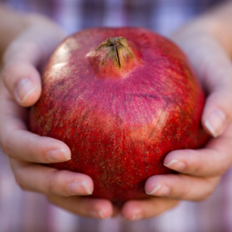 يحمل الرمان لقب سوبر الفواكه لتميزه بفوائد غير متوفرة في غيره