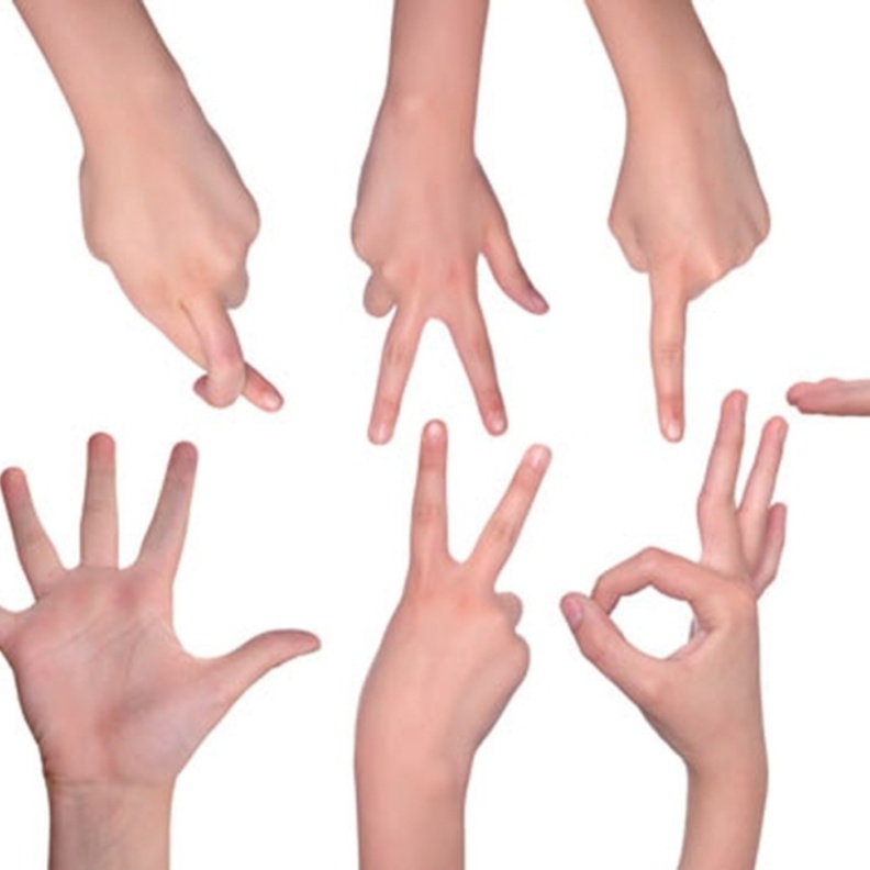 اطلاق أول مبادرة في الجهات الحكومية لتعليم لغة الإشارة